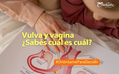 Vulva y vagina, conoce la diferencia